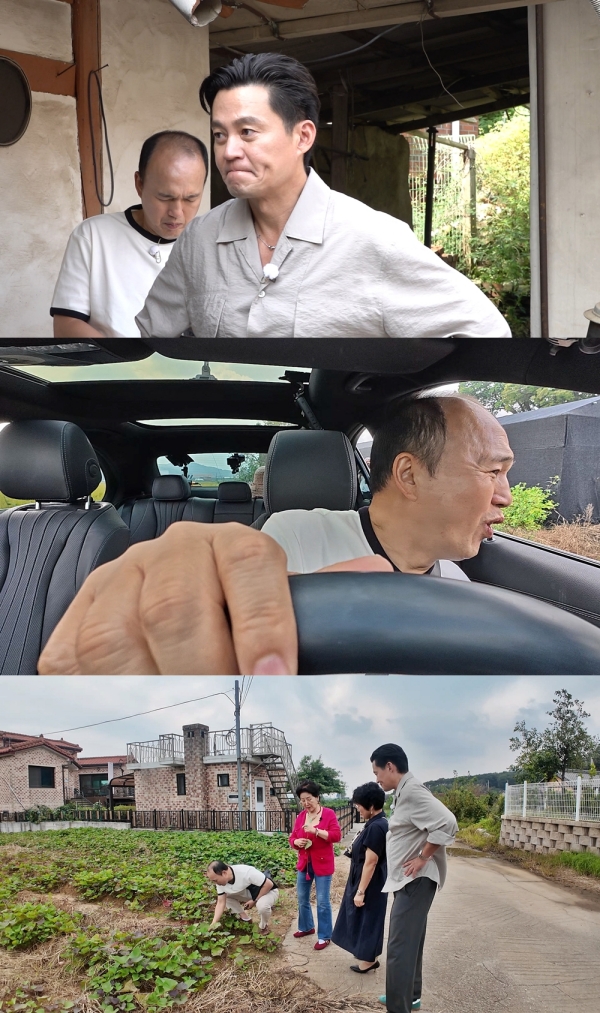  ̹