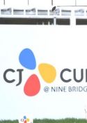 ̹