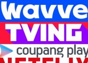 ����̹���