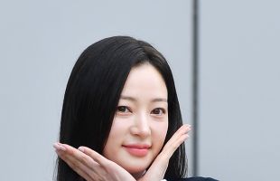̹