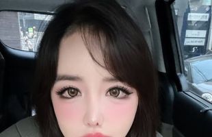 ̹