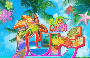 ̹
