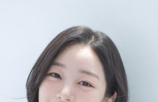 ̹