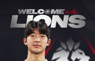 ����̹���