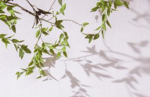 ����̹���