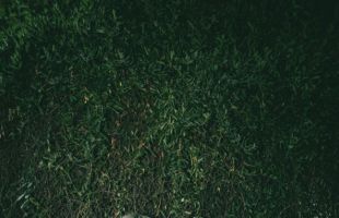 ����̹���