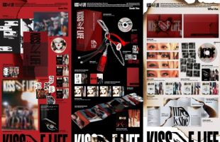 ����̹���