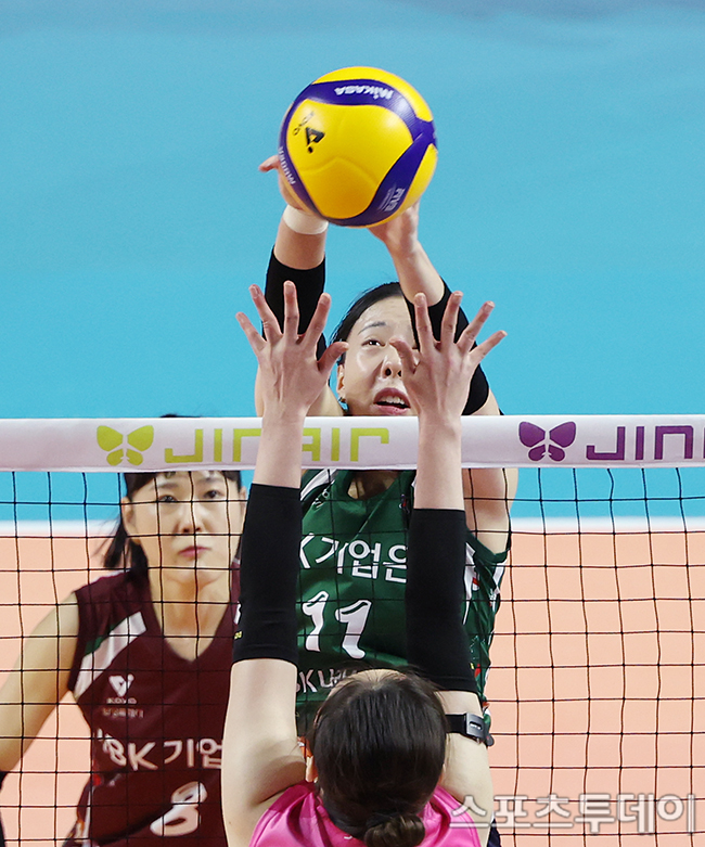 ��� �̹���