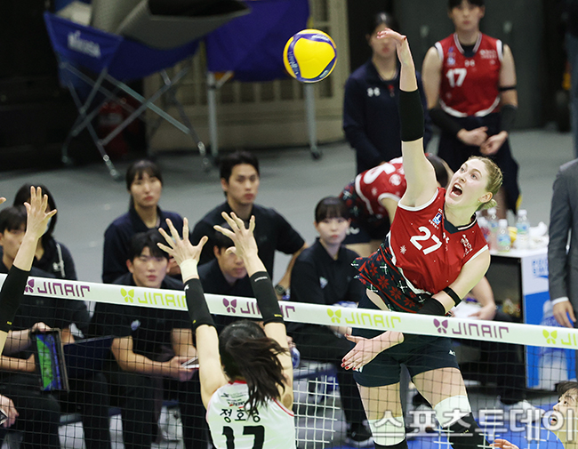 ��� �̹���