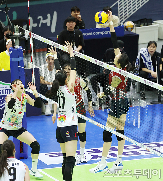 ��� �̹���