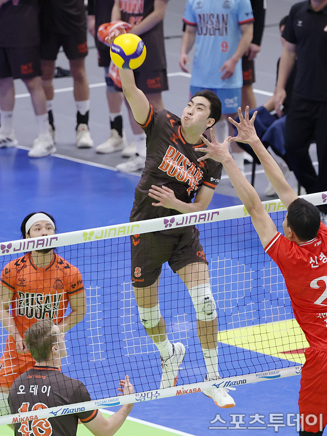 ��� �̹���