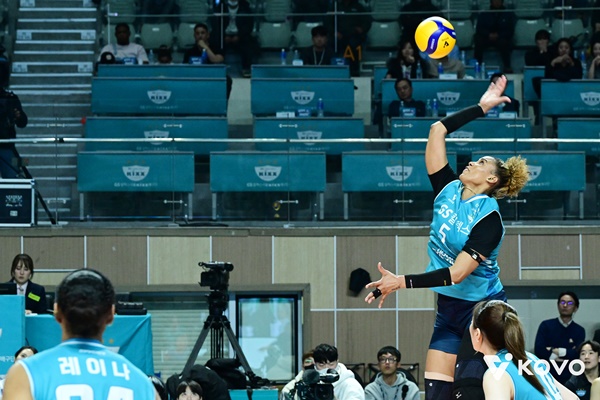 ��� �̹���