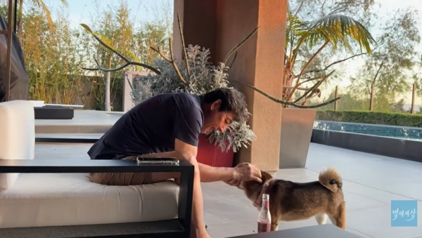 ��� �̹���