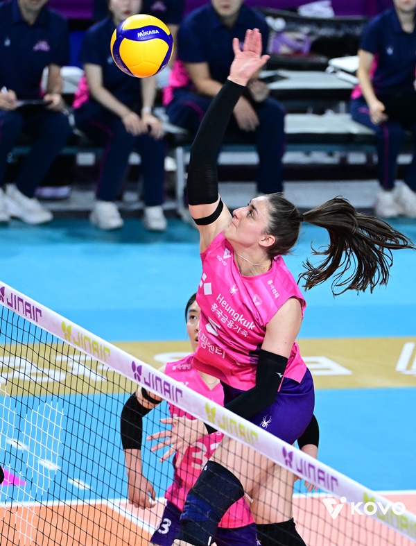 ��� �̹���