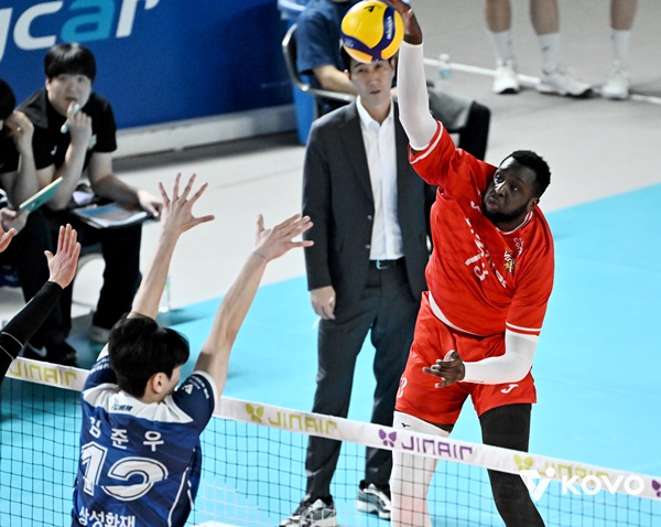 ��� �̹���