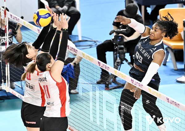 ��� �̹���