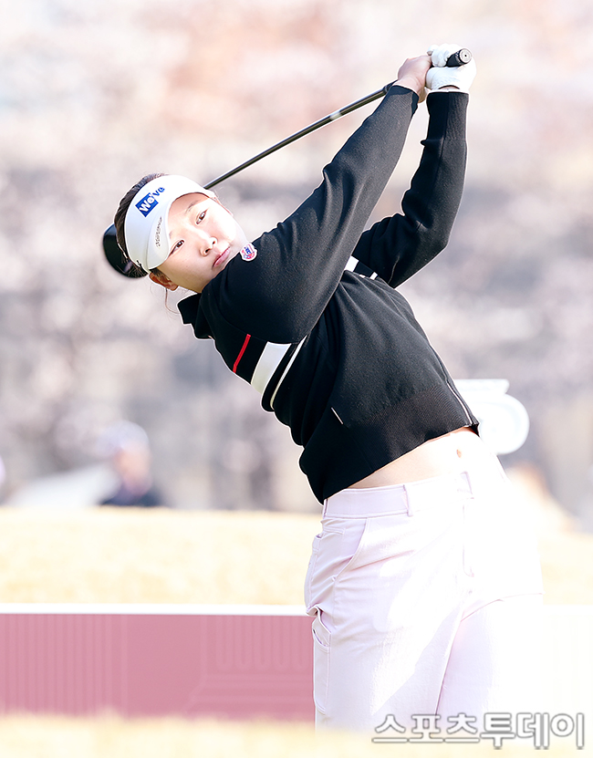 ��� �̹���