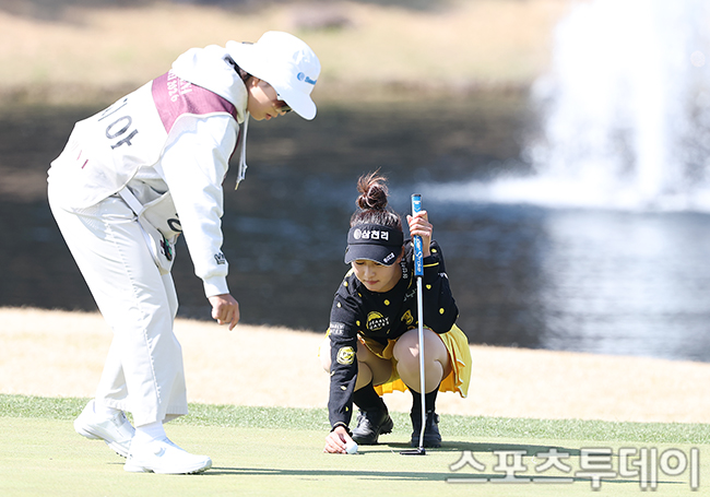 ��� �̹���