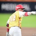 䴺