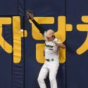 䴺
