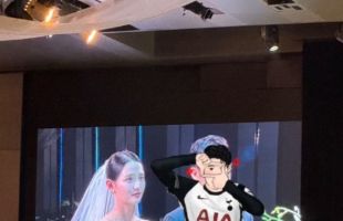̹