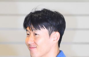 ̹