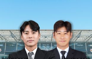 ̹