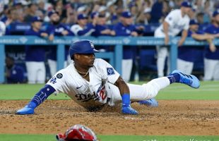 ����̹���