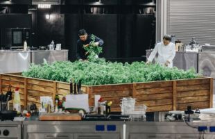 ����̹���