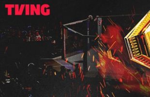 ����̹���