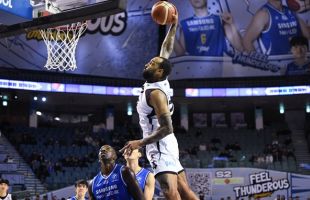 ����̹���