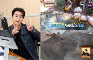 ����̹���