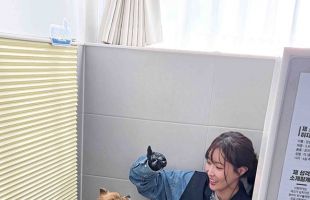 ����̹���