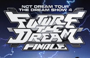 ����̹���