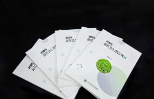 ����̹���