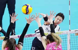 ����̹���