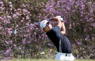 ����̹���