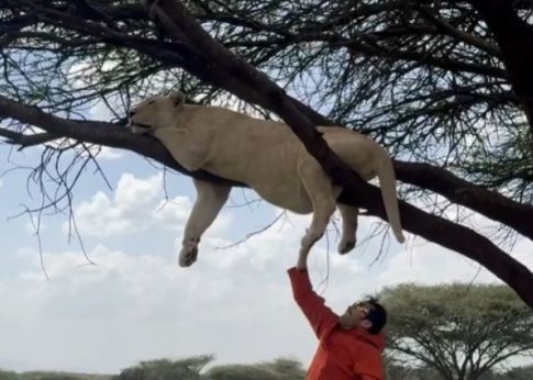 ����̹���