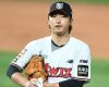 ��� �̹���