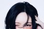 ̹